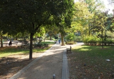 80571445_small