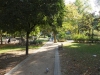 80571445_small