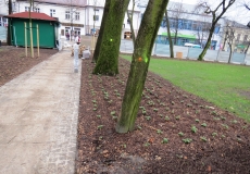 zdj.park busko 024