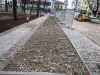 zdj.park busko 012