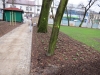 zdj.park busko 024