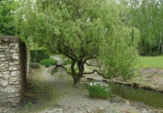 05172417_small